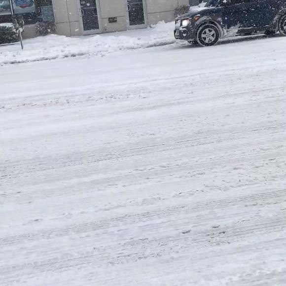 Meet your Posher, George - Picture 1 of 1